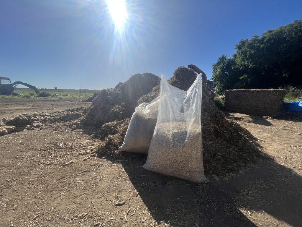 Ashford Hemp Industries