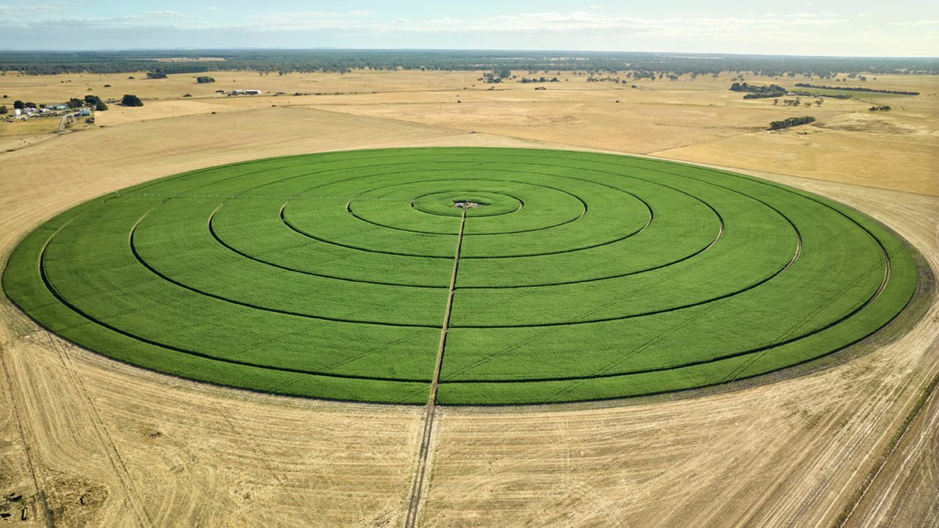 Vircura | Manufacturer - hemp field