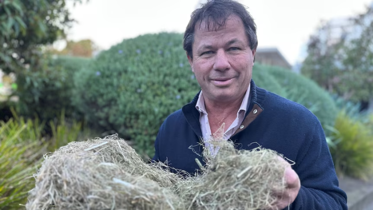 Hemp news on ABC Landline