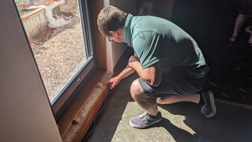 Diyeco Northern Tasmania Hemp Built Tours