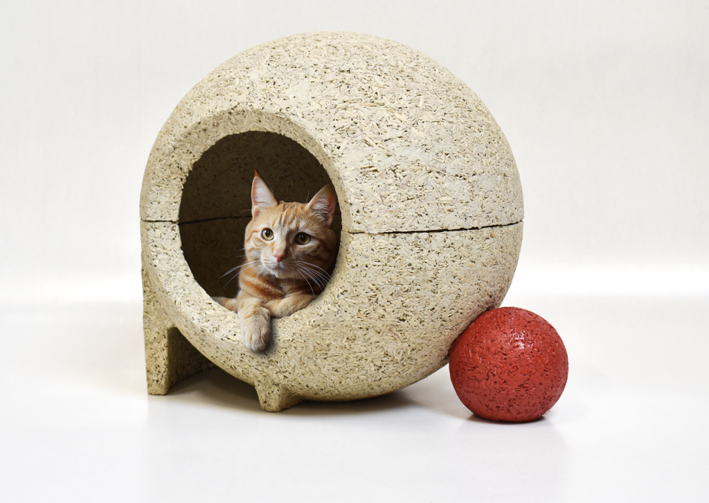 Cats and Geometric Freedom with Hempcrete?