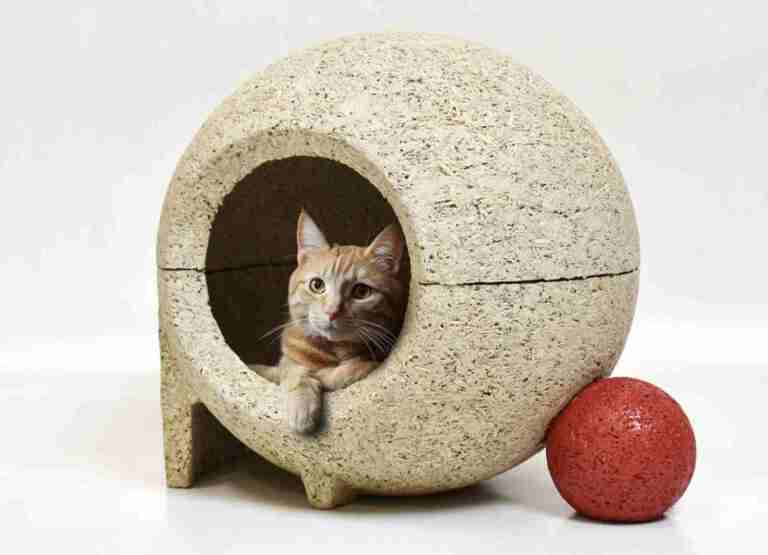 Cats and Geometric Freedom with Hempcrete?