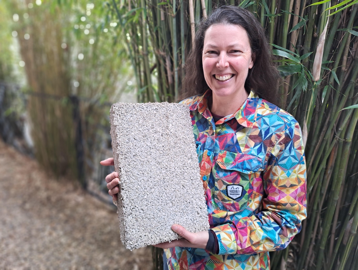 Building a Greener Future: The Rise of Shelter Building Design | Hemp ...