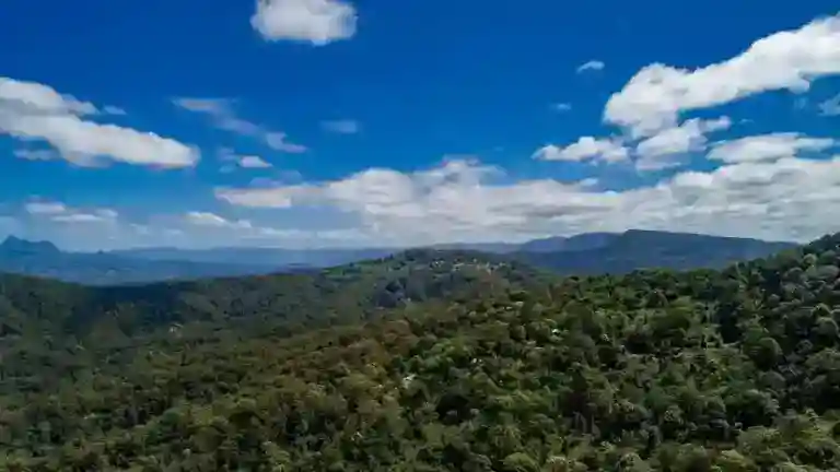 Northern NSW