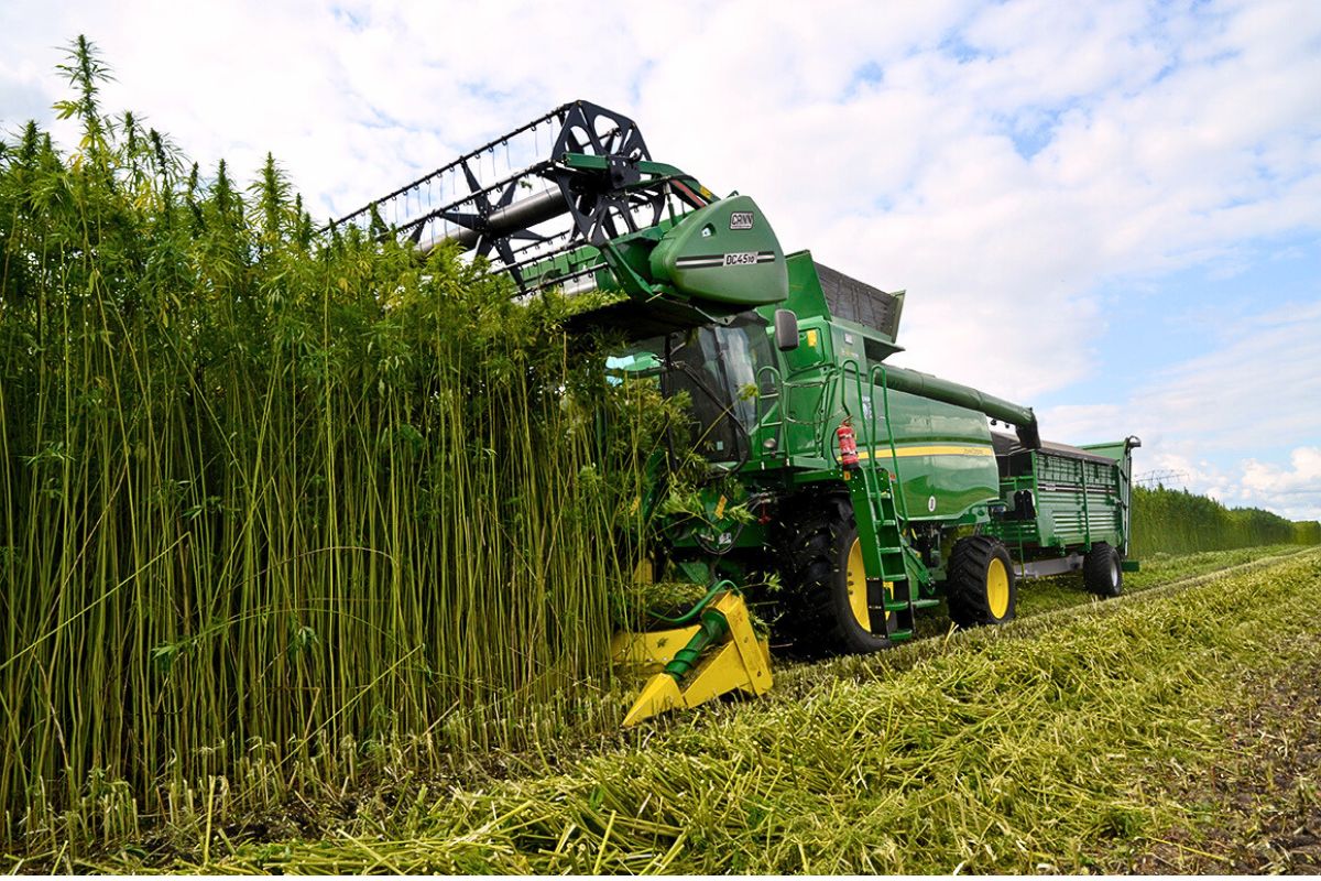 Landmark Opportunity for Australia’s Hemp Industry