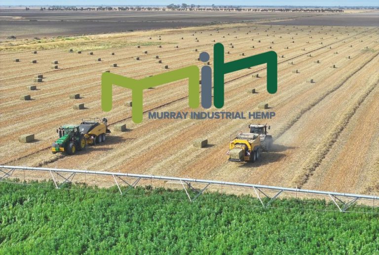 Building Australia’s First Hemp Precinct: Murray Industrial Hemp Leads the Charge